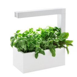 Potager d'intérieur HERBIE...