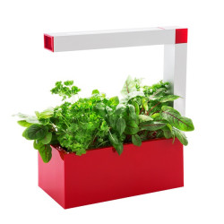 Potager d'intérieur HERBIE...