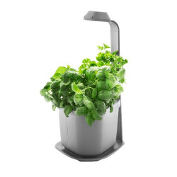 Potager d'intérieur GENIE...