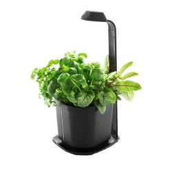 Potager d'intérieur GENIE...