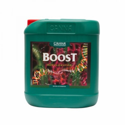 Canna - Boost Accelerator...