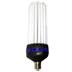 Superplant - Ampoule CFL...