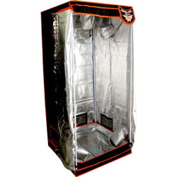 Superbox - Mylar 80 V.2 -...