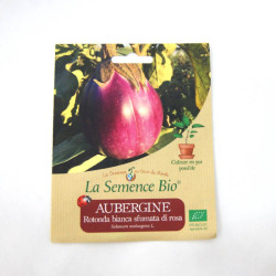 La Semence Bio - Aubergine...