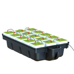 Platinium Hydroponics -...