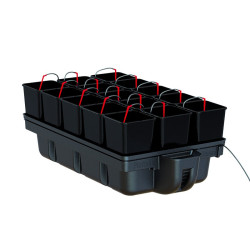 Platinium Hydroponics -...