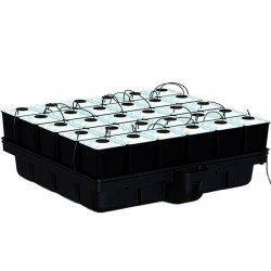 Platinium Hydroponics -...