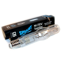 Superplant - Ampoule MH...