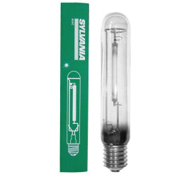 Sylvania - Ampoule Basic...