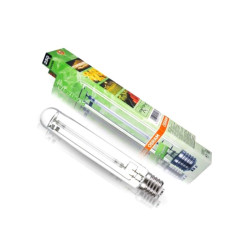 Osram - 250W - AMPOULE -...