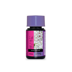 BCUZZ BLOOM 50ML FR