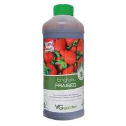 VG GARDEN ENGRAIS FRAISES 1L