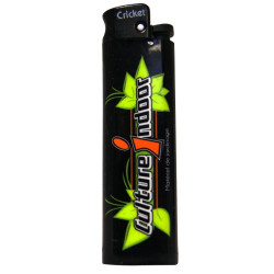 BRIQUET CULTURE INDOOR Criket