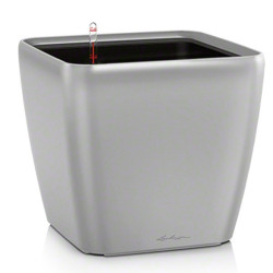 QUADRO PREMIUM 35 ARGENT