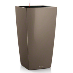 CUBICO PREMIUM 22 EXPRESSO