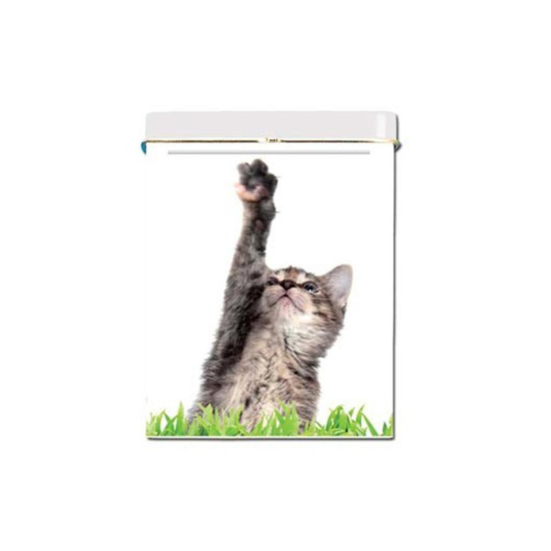 BOITE CIGARETTES - CHATON 1 BOITE CIGARETTES - CHATON 1