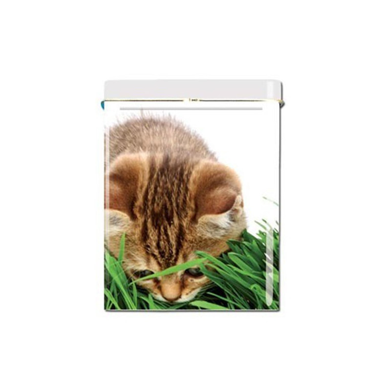 BOITE CIGARETTES - CHATON 2 BOITE CIGARETTES - CHATON 2