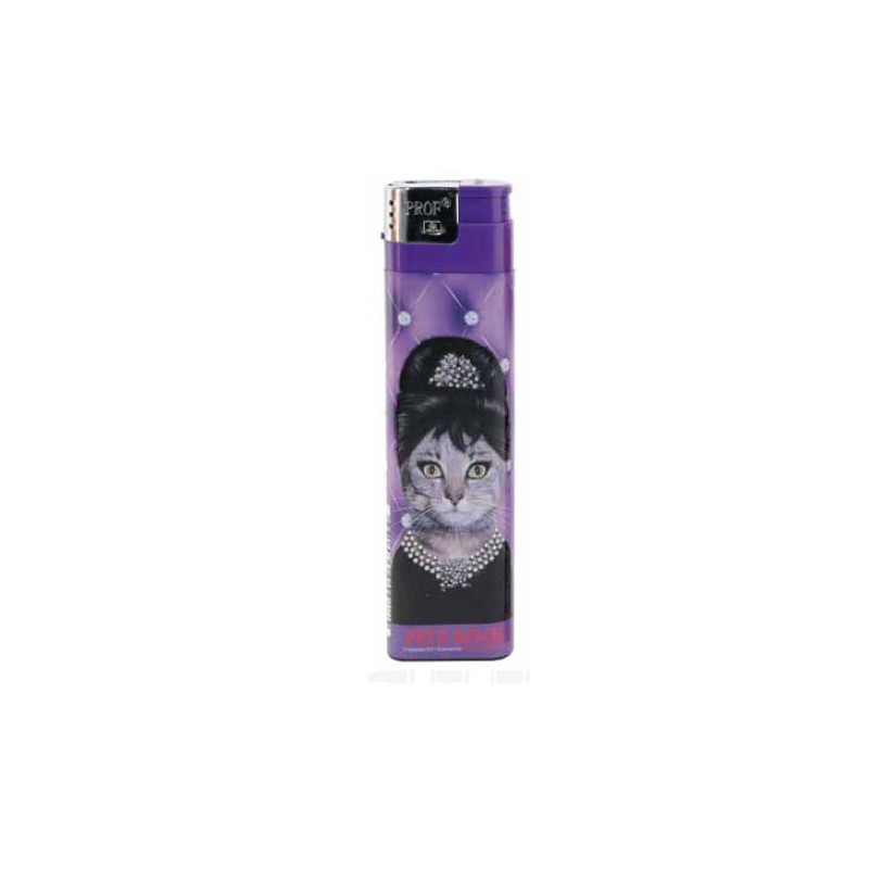 PETS ROCK - BRIQUET GEANT 16CM DL-12 AUDREY PETS ROCK - BRIQUET GEANT 16CM DL-12 AUDREY