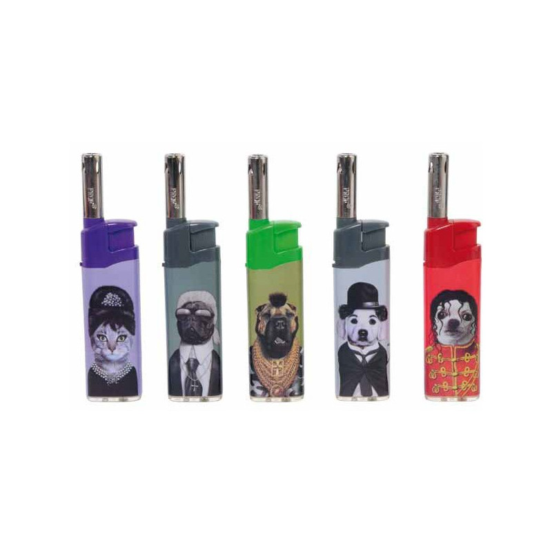 PETS ROCK - LE LOT DE 5 BRIQUETS COBIA (5 MODELES) PETS ROCK - LE LOT DE 5 BRIQUETS COBIA (5 MODELES)