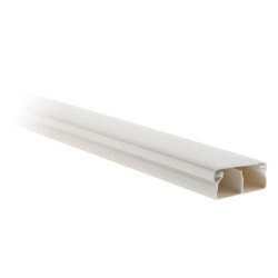 101041 MOULURE COMPARTIMENTEE 50X20 BLANC 2M RAL9016