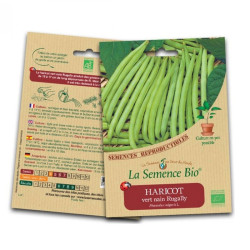 GRAINES BIO - HARICOT VERT NAIN RUGALLY