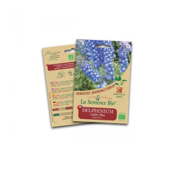 La semence Bio - Delphinium galilée blue