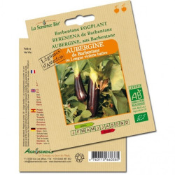 La Semence Bio - Aubergine de Barbentane