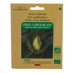 La Semence Bio - Chou cabus blanc