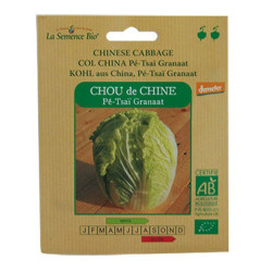 La semence Bio - Chou de Chine grann pe-tsai