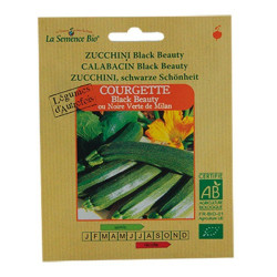 La Semence Bio - Courgette longue black beauty