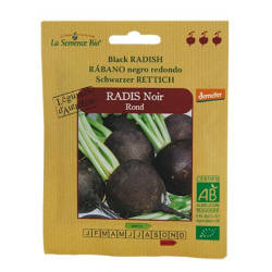 La Semence Bio -  Radis noir rond demeter