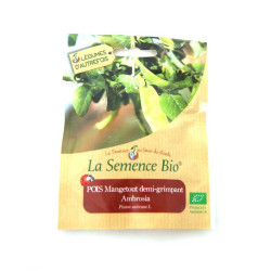 La Semence Bio - Pois mangetout ambrosia