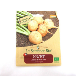 La Semence Bio - Navet jaune boule d'or