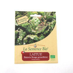 La Semence Bio - Laitue batavia rouge grenobloise