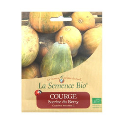 Graines bio - Courge sucrine du berry