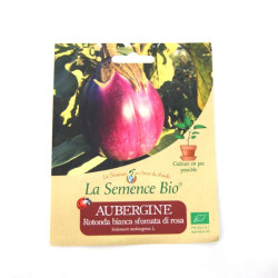 La Semence Bio - Aubergine rotonda bianca di rosa