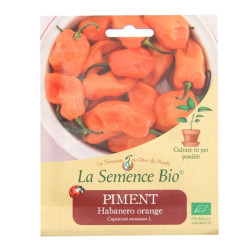 La Semence Bio - Piment Habareno Orange