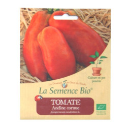 La Semence Bio - Tomate Andine cornue