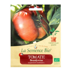 La Semence Bio - Tomate Brandywine