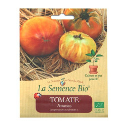 La Semence Bio - Tomate Ananas