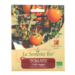 La Semence Bio - Tomate Gold Nugget