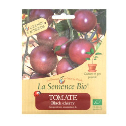 La Semence Bio -  Tomate black cherry