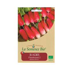 La Semence Bio - Radis flamboyant