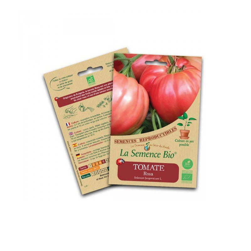 La semence Bio - Tomate rosa