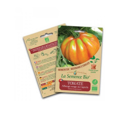 La semence Bio - Tomate albenga rouge ou liguria