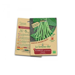 La semence Bio - Haricot vert grimpant emerite