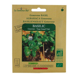 La Semence Bio -  Basilic Genovese