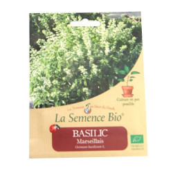 La Semence Bio - Basilic Marseillais