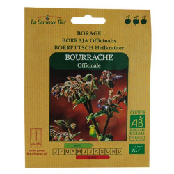 La Semence Bio - Bourrache officinale