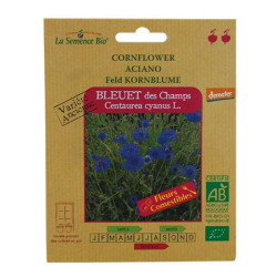 GRAINES BIO -BLEUET DES CHAMPS